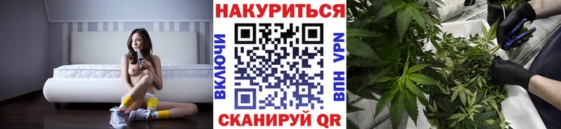 Купить где  Дагестанские Огни  Конопля White Widow 